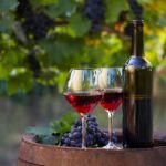 Best-Wine-Glasses