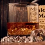 Best Portable Ice Maker