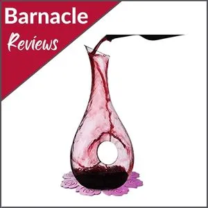 Best Budget Snail Shape Wine Decanter