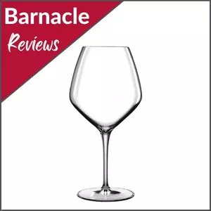 Joplin Modern Red Wine Glass + Reviews