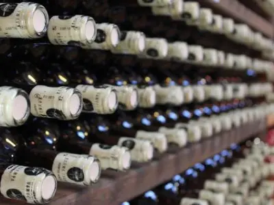 barolo wine has fruity notes of berries