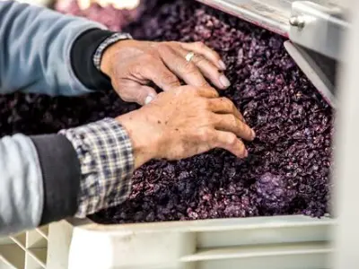 pneumatic grape crusher