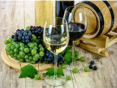 pair barolo wine