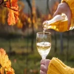 Sauvignon Blanc Vs Pinot Grigio