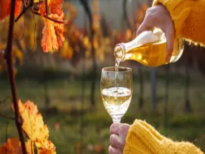 Sauvignon Blanc vs Pinot Grigio: BATTLE of the Wines