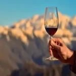 Tempranillo food pairings