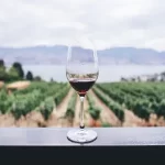 Tempranillo vs Pinot Noir