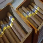 Two groupd of cigars in two separate cigar boxes