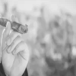 What do cigars taste like?