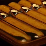 Multiple high end cigars laying in a line in a box